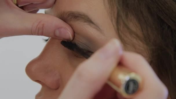 Artista de maquiagem profissional faz maquiagem uma mulher muito bonita . — Vídeo de Stock