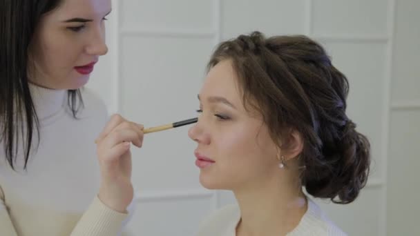 Professional makeup artist makes makeup a very beautiful woman. — Stock Video