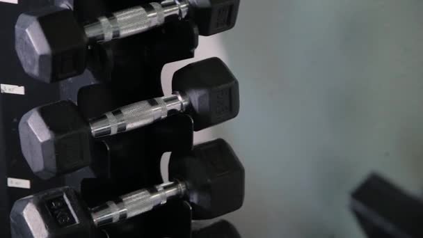 Conjunto, um rack de halteres de diferentes tamanhos para treinamento, close-up . — Vídeo de Stock