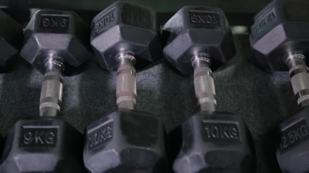 Conjunto, un bastidor de pesas de diferentes sizen para el entrenamiento, primer plano . — Vídeo de stock