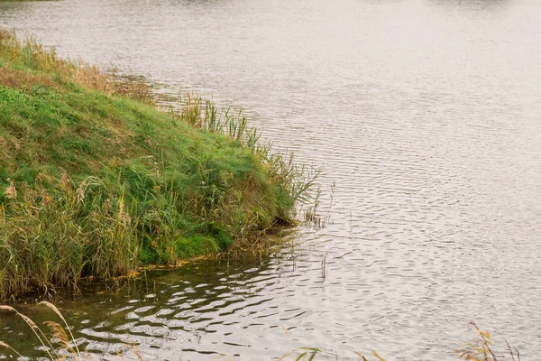 Met gras begroeide oever van het meer, op een bewolkte dag, herfstweer. — Stockfoto