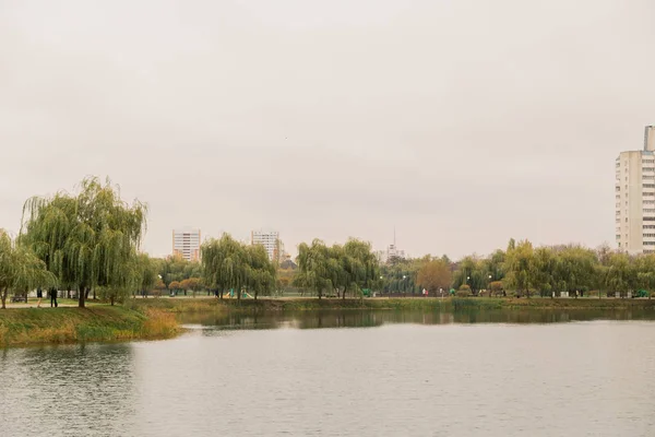 Met gras begroeide oever van het meer met residentiële gebouwen in de verte, op een bewolkte dag, herfstweer. — Stockfoto