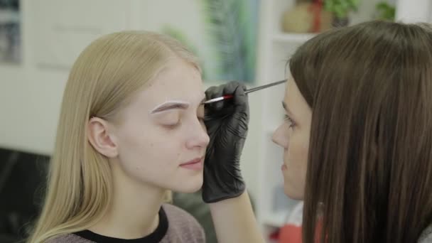 Maquillaje artista hace tinción de cejas con tintes naturales, tonificación con henna, procedimientos cosméticos en el salón de belleza . — Vídeos de Stock