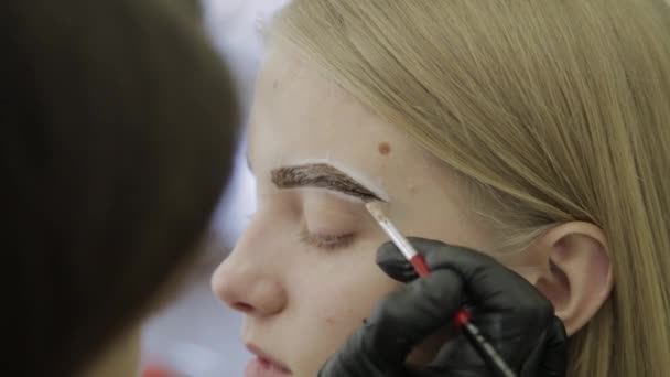 Maquillaje artista hace tinción de cejas con tintes naturales, tonificación con henna, procedimientos cosméticos en el salón de belleza . — Vídeo de stock