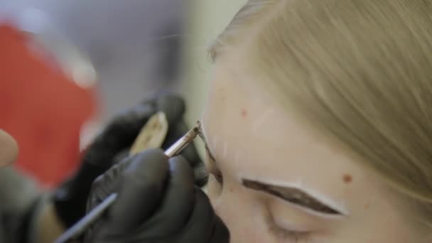 Maquiagem artista faz coloração de sobrancelha com corantes naturais, tonificação com henna, procedimentos cosméticos no salão de beleza . — Vídeo de Stock