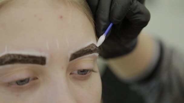 Visagist maakt wenkbrauw kleuring met natuurlijke verfstoffen, toning met henna, cosmetische procedures in de schoonheidssalon. — Stockvideo