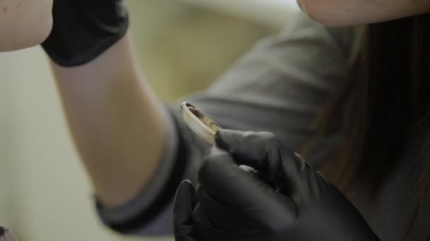 Maquiagem artista faz coloração de sobrancelha com corantes naturais, tonificação com henna, procedimentos cosméticos no salão de beleza . — Vídeo de Stock