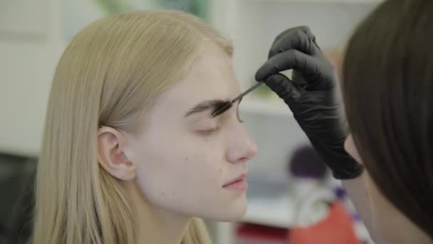 Makeup artist rende la colorazione del sopracciglio con coloranti naturali, tonificanti con hennè, procedure cosmetiche nel salone di bellezza . — Video Stock