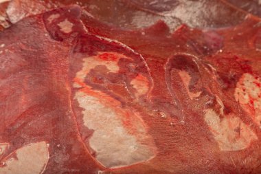 Taze et karaciğer doku dondurulmuş karaciğer blok dondurulmuş.