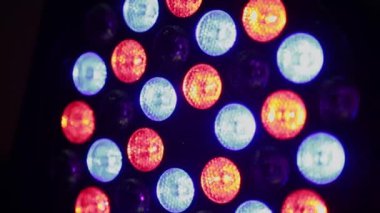 Müzik kulübü ışık yanıp sönüyor.