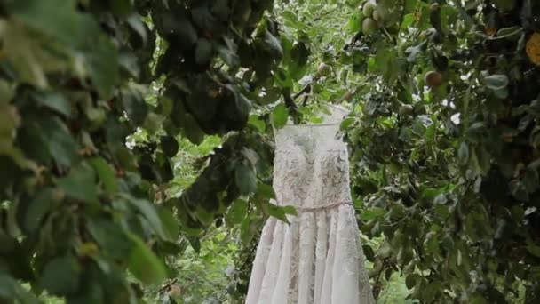 Vestido de noiva branco pendurado em uma árvore verde, vestido de dama de honra branco pendurado entre os ramos de uma árvore . — Vídeo de Stock