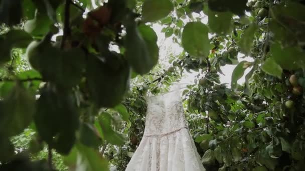 Weißes Hochzeitskleid, das an einem grünen Baum hängt, weißes Brautjungfernkleid, das zwischen den Ästen eines Baumes hängt. — Stockvideo