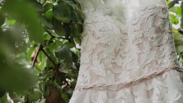 Fehér menyasszonyi ruha lóg a zöld fa, fehér Koszorúslány ruha lóg egy fa ága között. — Stock videók