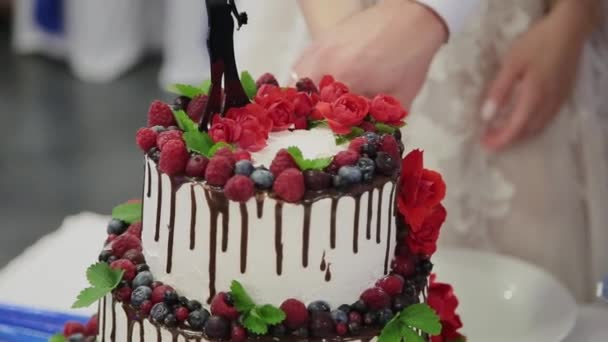 写真家は撮影しながらウェディング パーティーの最中に同性愛者のカップルのウェディング ケーキ。ホモ結婚式パーティー — ストック動画