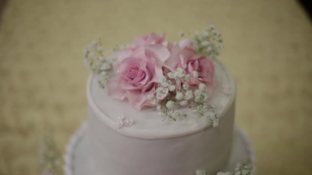 Wedding cake of a gay couple during the wedding party while photographers shooting. Homo wedding party — Stock Video