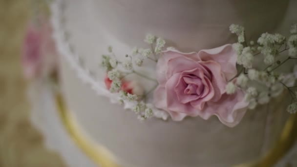 在婚礼期间, 在摄影师拍摄时, 一对同性恋夫妇的婚礼蛋糕。同性恋婚礼派对 — 图库视频影像