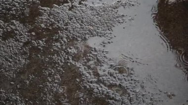 Yağmur ıslak siyah asfalt üzerine damlama.