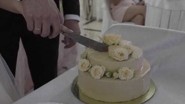 Bolo de casamento de um casal gay durante a festa de casamento enquanto os fotógrafos atiram. Homo festa de casamento — Vídeo de Stock