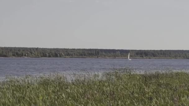 Barco con paseos a motor en el lago . — Vídeo de stock