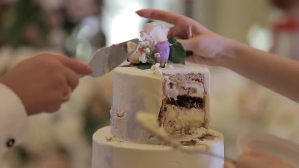 Hochzeitstorte eines schwulen Paares während der Hochzeitsfeier beim Fotografenschießen. Homo-Hochzeit — Stockvideo