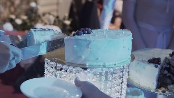 Esküvői torta egy meleg pár a násznép, míg a fotósok, forgatás közben. Homo lakodalom — Stock videók