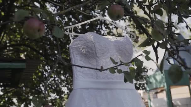 Vestido de novia blanco colgando de un árbol verde, vestido de dama de honor blanco colgando entre las ramas de un árbol — Vídeo de stock