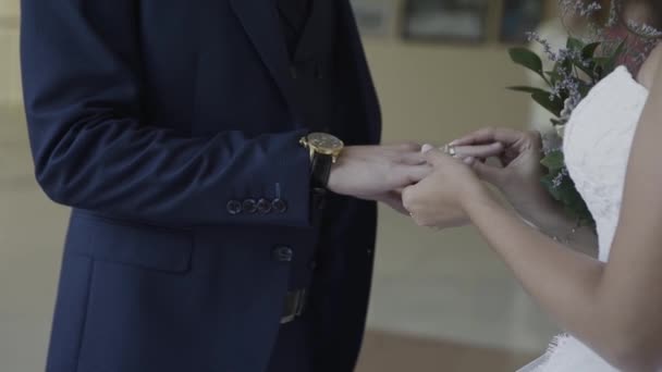 Os recém-casados muito belos põem anéis um em outro . — Vídeo de Stock