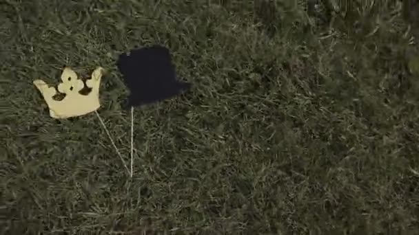 Papper hatt och kronan på en pinne ligga i gräset. — Stockvideo