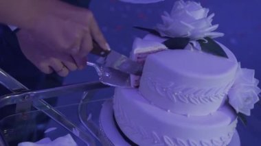 Düğün pastası düğün fotoğrafçılar çekim sırasında sırasında bir gay çift. Homo düğün