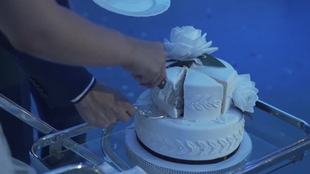 Wedding cake of a gay couple during the wedding party while photographers shooting. Homo wedding party — Stock Video