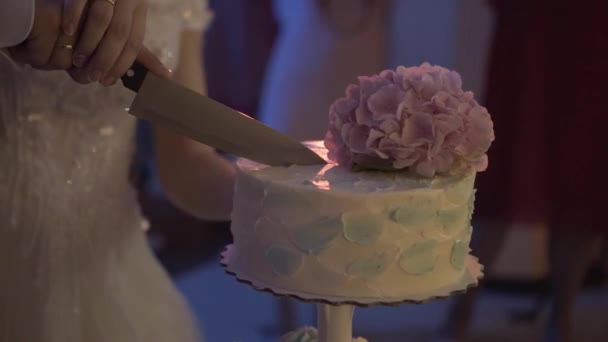 Wedding cake of a gay couple during the wedding party while photographers shooting. Homo wedding party — Stock Video