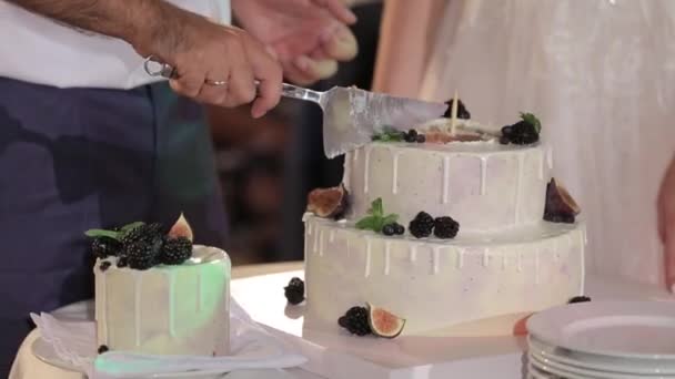 Hochzeitstorte eines schwulen Paares während der Hochzeitsfeier beim Fotografenschießen. Homo-Hochzeit — Stockvideo