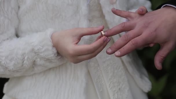 非常に美しい新婚夫婦がお互いにリングを入れてください。. — ストック動画