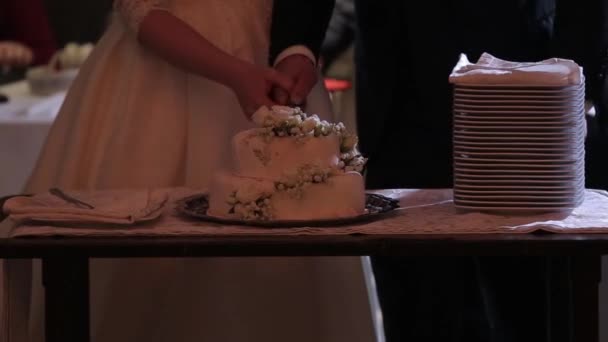 Torta nuziale di una coppia gay durante la festa di nozze durante le riprese dei fotografi. Homo festa di nozze — Video Stock