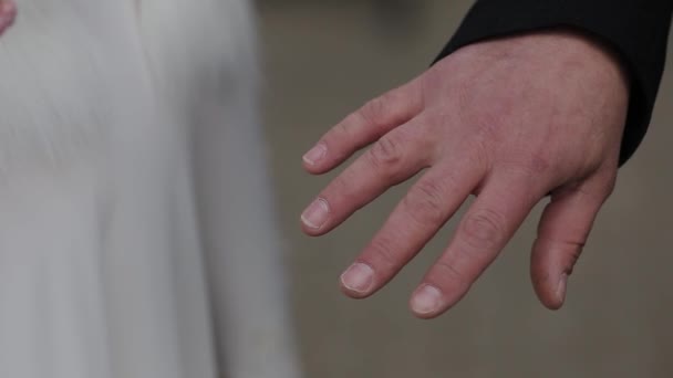 Very beautiful newlyweds put rings on each other. — Stock Video