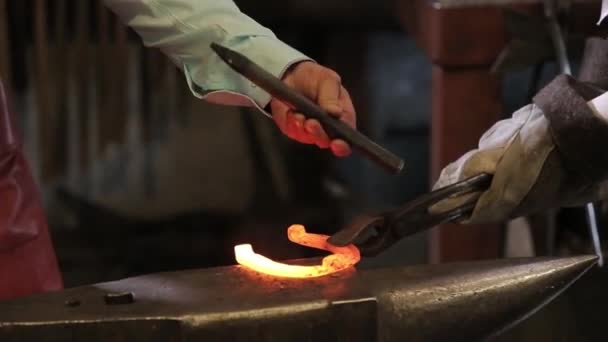 Forge iron in the forge on the anvil. — Stock Video