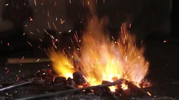 Un pequeño fuego en la fragua del horno . — Vídeo de stock