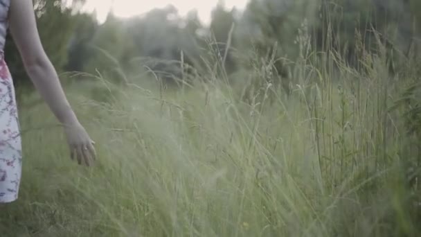 Menina em um vestido longo caminha em um campo com grama alta ao pôr do sol, as mãos tocam a grama, movimento da câmera . — Vídeo de Stock