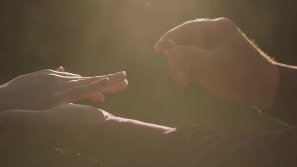 Très beaux jeunes mariés mettre des anneaux l'un sur l'autre . — Video