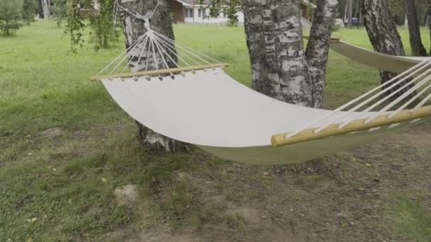 A hammock between two trees near the lake. — Stock Video