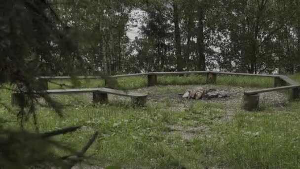 Bancos de madera hechos a mano en un claro en el bosque . — Vídeos de Stock