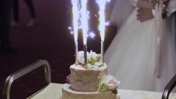 Свадебный торт гей-пары во время свадебной вечеринки во время съемок фотографов. Свадьба Homo — стоковое видео