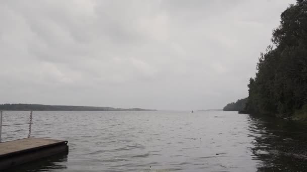 Bela vista da costa de um pequeno lago e uma floresta à distância . — Vídeo de Stock