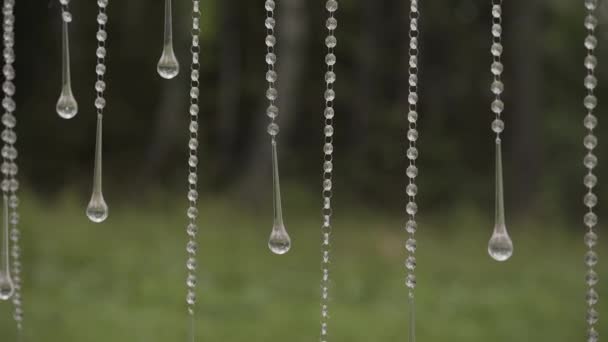 Registrazione di registrazione di uscita, fiori di fieno di covone di mele . — Video Stock