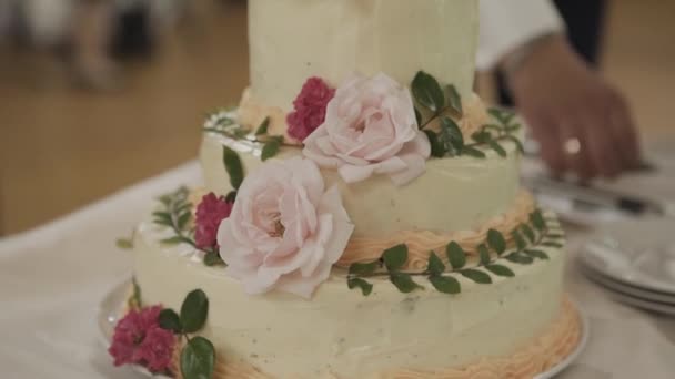 Gâteau de mariage d'un couple gay pendant la fête de mariage pendant que les photographes tournent. Homo fête de mariage — Video
