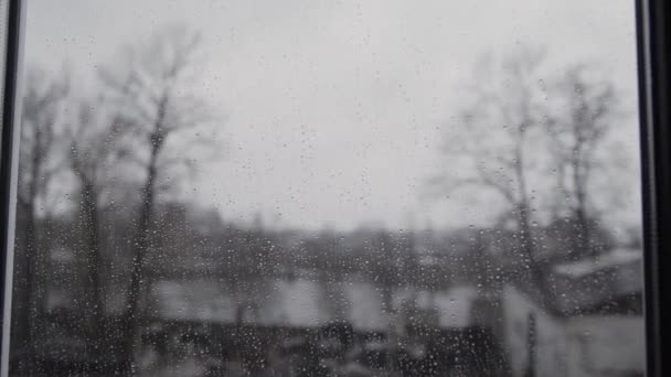 Una fuerte lluvia en verano en Alemania vista a través del cristal de la ventana con el foco en las gotas de lluvia . — Vídeo de stock