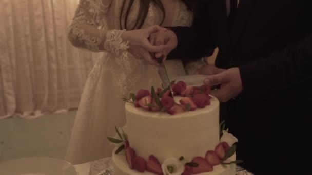 写真家は撮影しながらウェディング パーティーの最中に同性愛者のカップルのウェディング ケーキ。ホモ結婚式パーティー — ストック動画