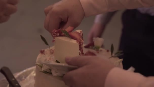 Hochzeitstorte eines schwulen Paares während der Hochzeitsfeier beim Fotografenschießen. Homo-Hochzeit — Stockvideo