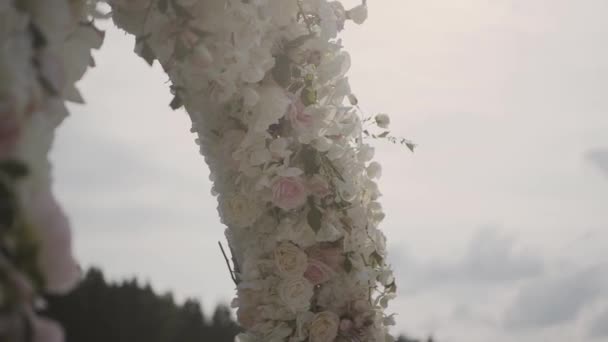 登録の終了の登録、リンゴ束という花粉花. — ストック動画