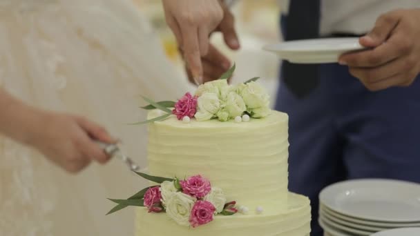 Pastel de boda de una pareja gay durante la fiesta de bodas mientras los fotógrafos disparan. Fiesta de bodas Homo — Vídeo de stock